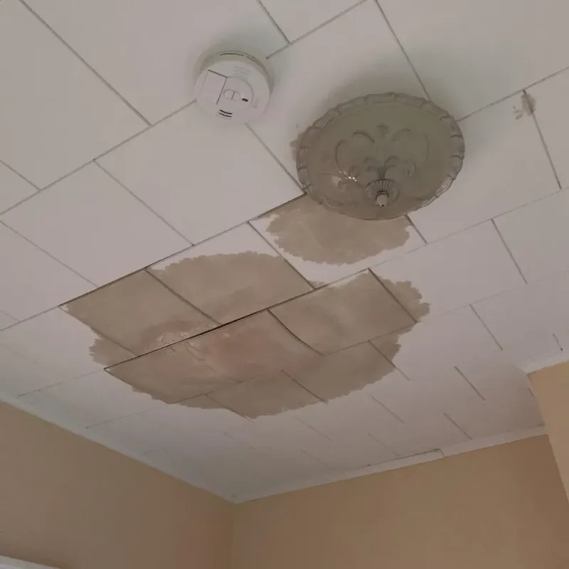 Ceiling Water Damage Repair in Cambridge, NY