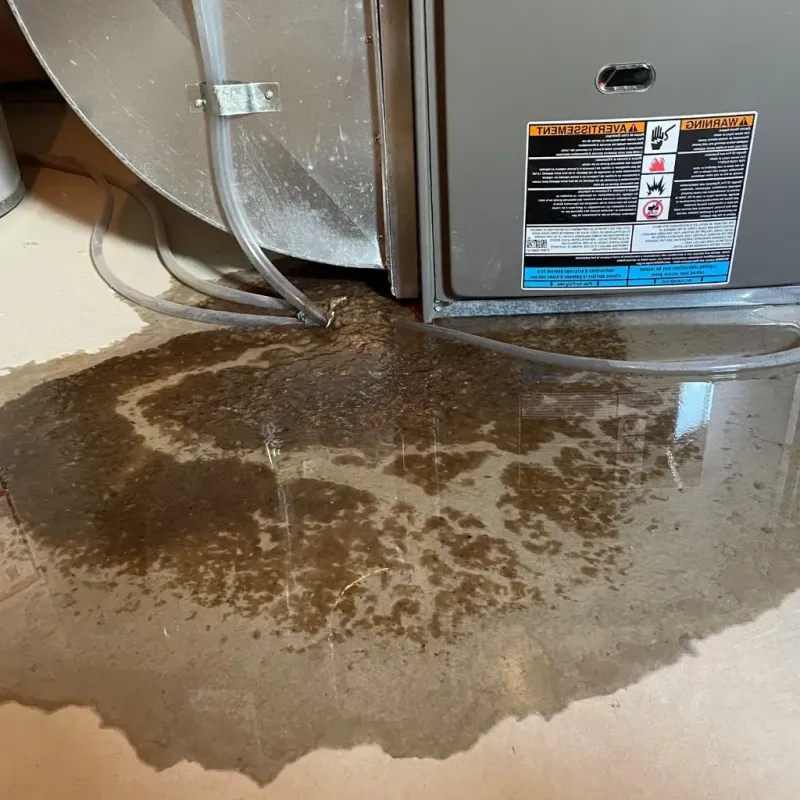 Pipe Burst and Leak Restoration in Cambridge, NY